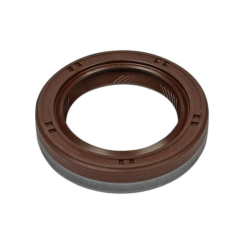 Oil Seal